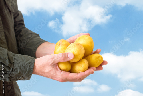 Photo: Farmer holding potato Farmer holding potato