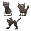 cats