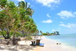 ビーチ