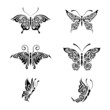 Collection black and white butterflies