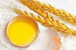 Spikelets of wheat on flour spillage.Isolated.