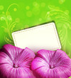 Vektor: vector congratulatory background with beautiful flowers and a ca vector congratulatory background with beautiful flowers and a ca