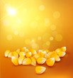vector corn on a gold background