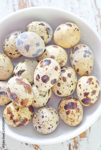 Photo: quail eggs quail eggs