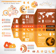 Infographic elements - set of paper tags, technology icons...