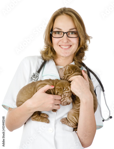Photo: two puppies sharpei dog on hands at the veterinarian. isolated two puppies sharpei dog on hands at the veterinarian. isolated
