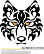 Vector image of face  fox on a white background Stock Photo