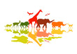 Wildlife Safari
