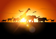 Sunset Safari