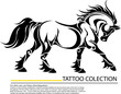image of an horse on white background