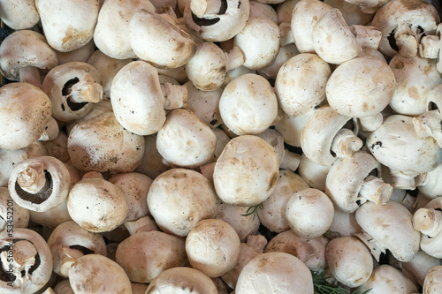 Photo: Champignons for sale Champignons for sale