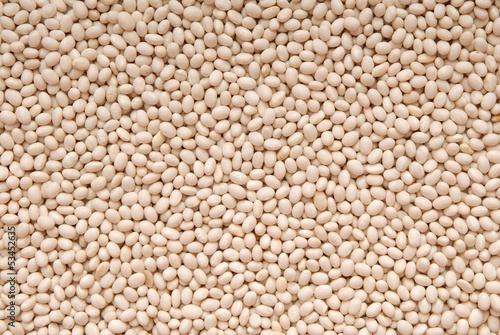 Photo: Texture background is out of white beans. Texture background is out of white beans.