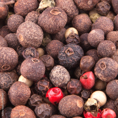 Photo: Mixture of Peppercorns Mixture of Peppercorns