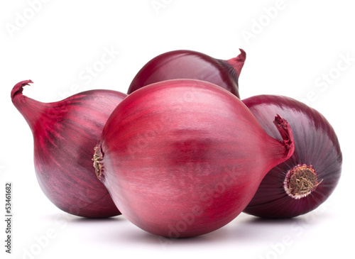 Photo: red onion bulb red onion bulb