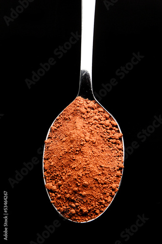 Photo: Cocoa Powder in a Spoon Cocoa Powder in a Spoon