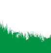 grass