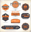 Set of Retro Vintage labels