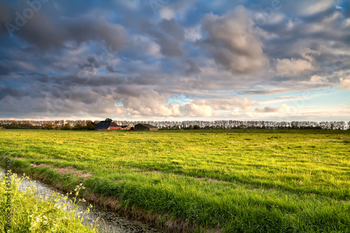 Photo: Dutch farmland in golden before sunset light Dutch farmland in golden before sunset light