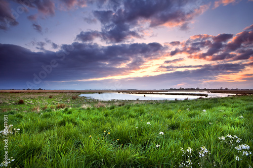 Photo: sunset over meadow with wildflowers sunset over meadow with wildflowers