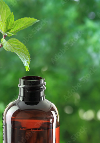 Photo: Drop falling of mint leaf in an essential oil bottle Drop falling of mint leaf in an essential oil bottle