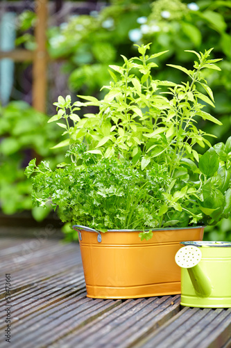 Photo: Outdoor gardening tools Outdoor gardening tools