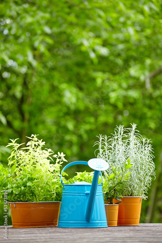 Photo: Outdoor gardening tools Outdoor gardening tools
