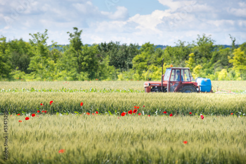 Photo: Tractor spraying wheat Tractor spraying wheat