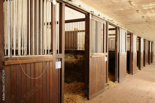 Photo: Haras National du Pin in Normandie Haras National du Pin in Normandie
