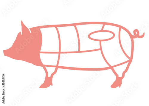 Illustration: 豚肉の部位 豚肉の部位