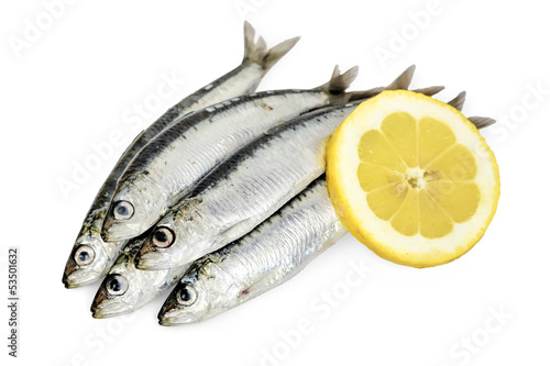 Photo: five sardines five sardines