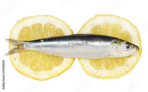Photo: sardine sardine