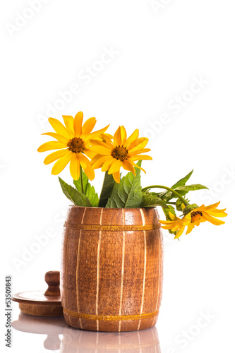 Photo: Heliopsis Heliopsis