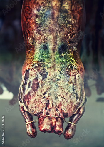Photo: sheep carcass sheep carcass