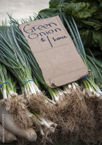 Photo: Green Onions Green Onions