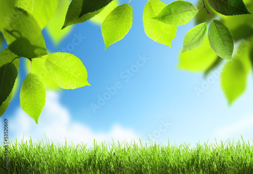 Photo: spring sunny background spring sunny background