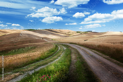 Photo: Road between the Fields of Tuscany, Italy Road between the Fields of Tuscany, Italy