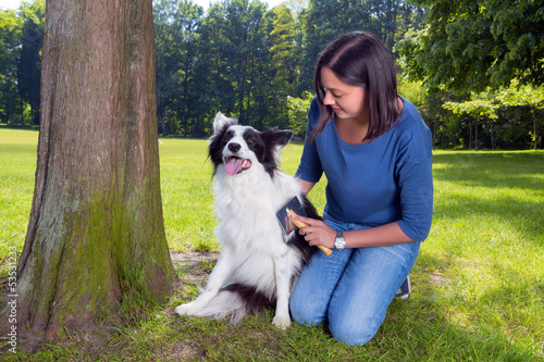 Photo: Grooming the dog Grooming the dog