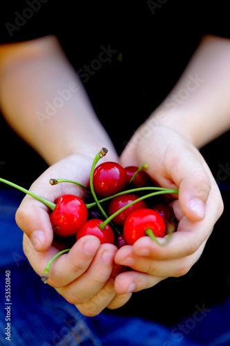 Photo: berry cherry in children's hands - organic concept berry cherry in children's hands - organic concept