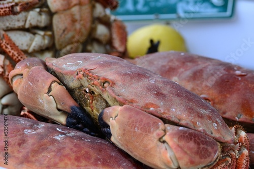 Photo: Crabe Crabe
