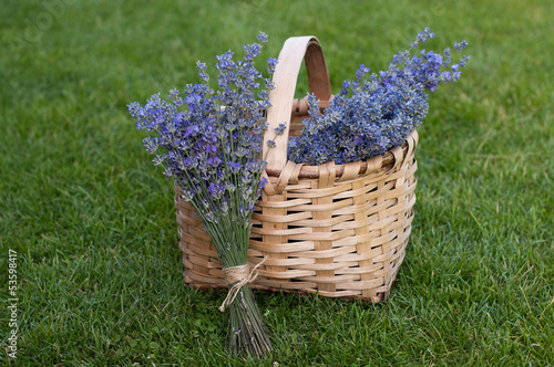 Photo: Lavender Lavender