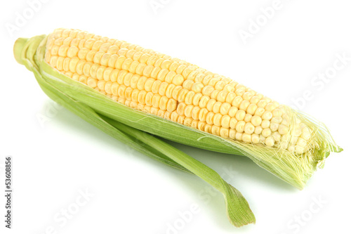 Photo: Fresh corn vegetable isolated on white Fresh corn vegetable isolated on white