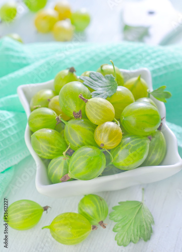 Photo: gooseberry gooseberry