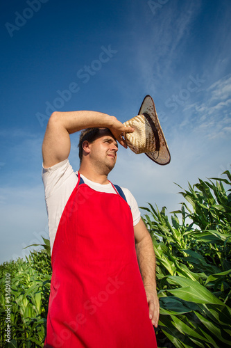 Photo: Farmer in field Farmer in field