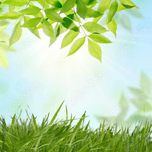 Photo: nature wake up nature wake up