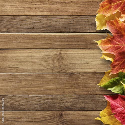 Photo: autumn background autumn background