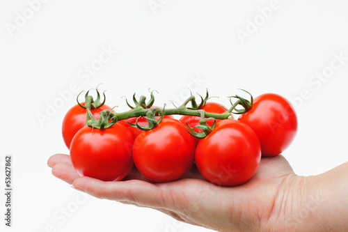 Photo: Cocktailtomaten Cocktailtomaten