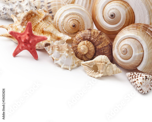 Photo: Seashells Seashells