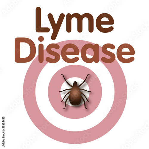 Illustration: Lyme Disease, Tick, Bulls-eye Rash, title text. EPS10. Lyme Disease, Tick, Bulls-eye Rash, title text. EPS10.