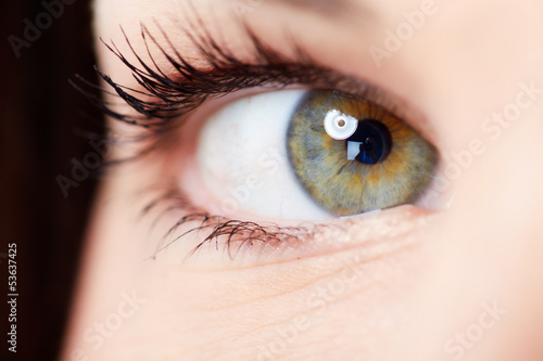 Photo: Woman eye. Woman eye.