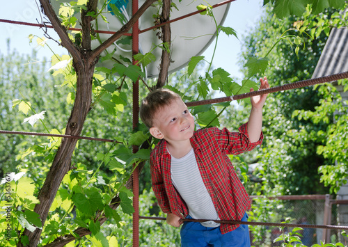 Photo: Happy little boy climbing on a metal frame Happy little boy climbing on a metal frame